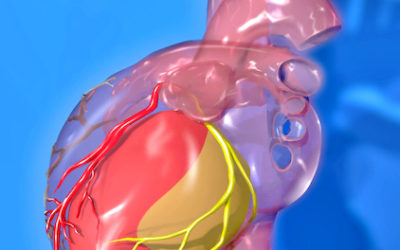 Structure and Function of Organs