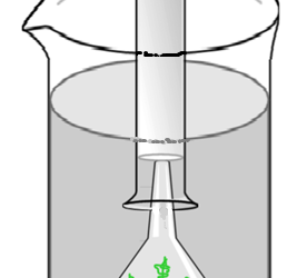 Photosynthesis and Respiration: Complementary Processes