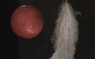 Which Falls Faster – A Feather or a Bowling Ball?