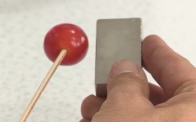 Magnetic Tomatoes