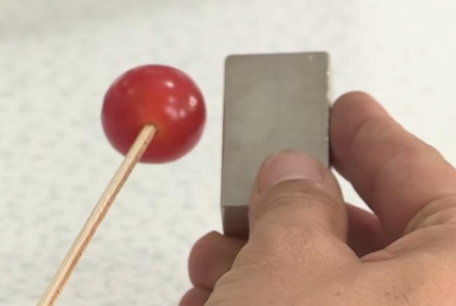 Magnetic Tomatoes