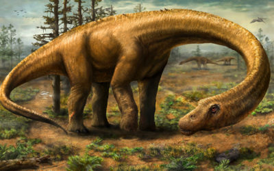 Bigger than Brontasaurus – Dreadnoughtus!