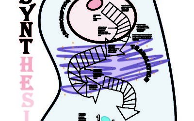 Protein Synthesis Game