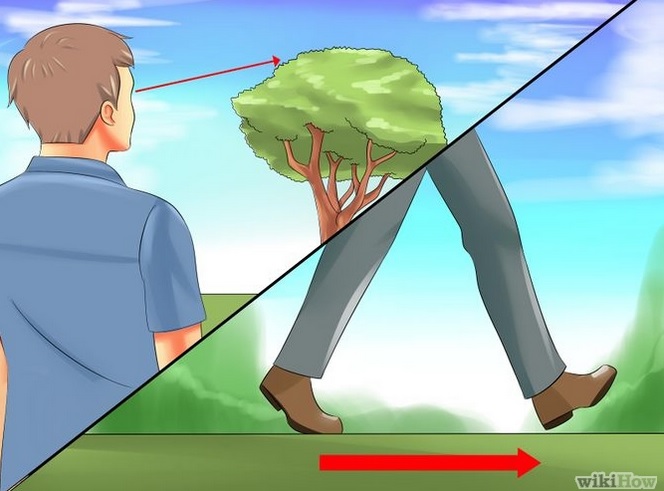Courtesy of Wikihow http://www.wikihow.com/Measure-the-Height-of-a-Tree
