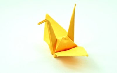 Natural Selection of the Carmel Origami Bird