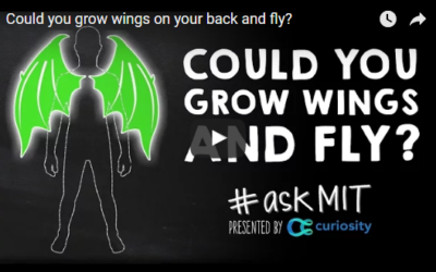 Could you grow wings on your back and fly?