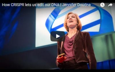 How CRISPR lets us edit our DNA | Jennifer Doudna