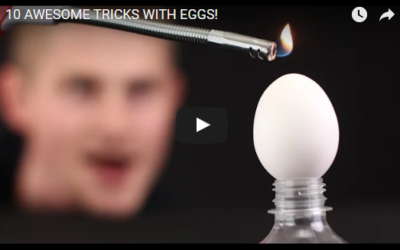 10 AWESOME TRICKS WITH EGGS!