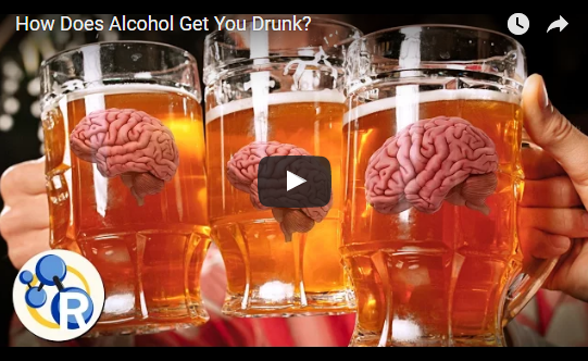 How Does Alcohol Get You Drunk?