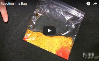 Reaction in a Bag