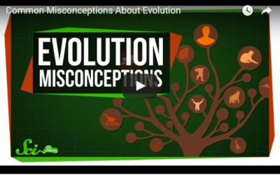 Evolution Misconceptions