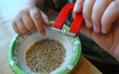 Teacher Demo/Student Activity: Iron in Cereal