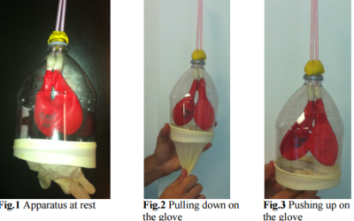 Teacher Demo – Lung in a Bottle