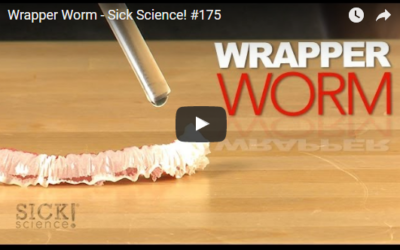 Wrapper Worm – Sick Science! #175