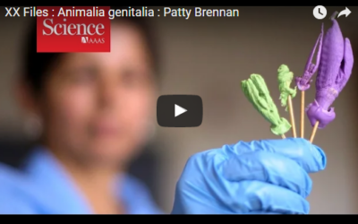 XX Files : Animalia genitalia : Patty Brennan