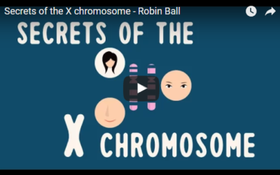 Secrets of the X chromosome – Robin Ball, TED-Ed