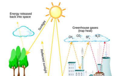 Teacher Demo: Greenhouse Effect