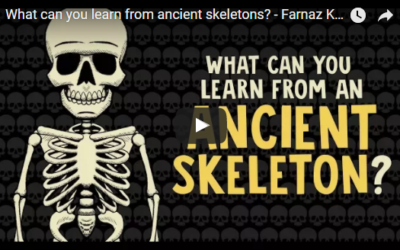 What can you learn from ancient skeletons? – TED-Ed