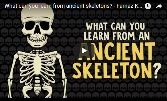 What can you learn from ancient skeletons? – TED-Ed