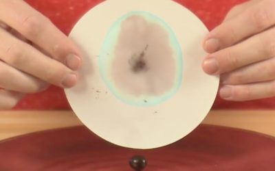 Candy Chromatography – The Lab by Steve Spangler