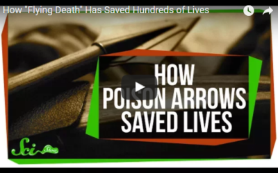 How “Flying Death” Has Saved Hundreds of Lives