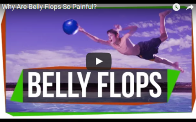 Why Are Belly Flops So Painful?