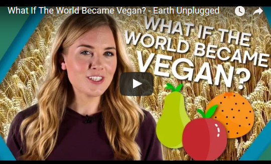 What If The World Became Vegan? – Earth Unplugged