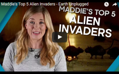 Maddie’s Top 5 Alien Invaders – Earth Unplugged