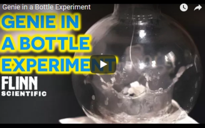 Genie in a Bottle Experiment