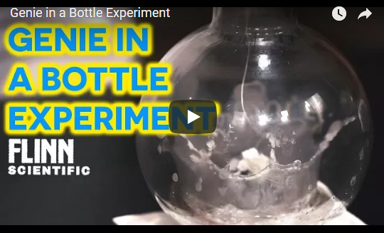 Genie in a Bottle Experiment