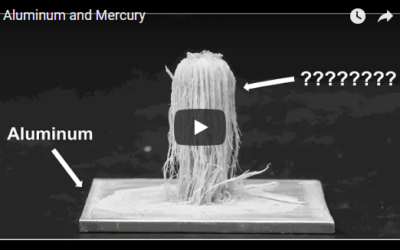 Aluminum and Mercury