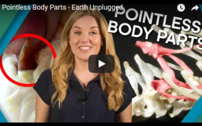 Pointless Body Parts – Earth Unplugged