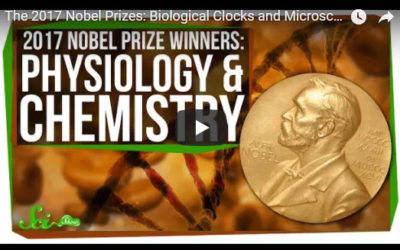 The 2017 Nobel Prizes: Biological Clocks and Microscopy