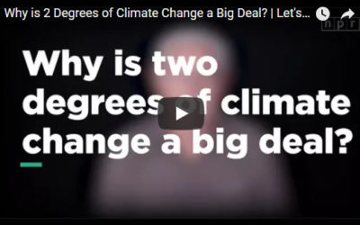 Why is 2 Degrees of Climate Change a Big Deal? | Let’s Talk | NPR