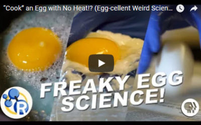 “Cook” an Egg with No Heat!? (Egg-cellent Weird Science Experiments)