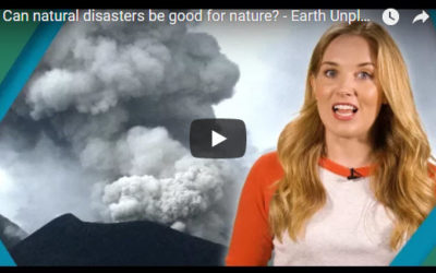 Can natural disasters be good for nature? – Earth Unplugged