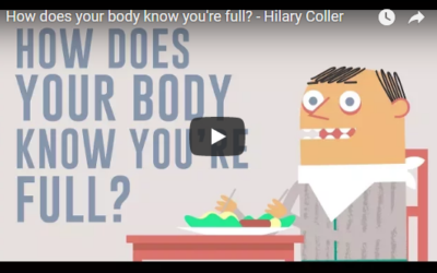 How does your body know you’re full? TED-Ed