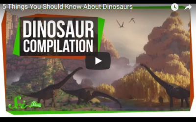 5 Things You Should Know About Dinosaurs