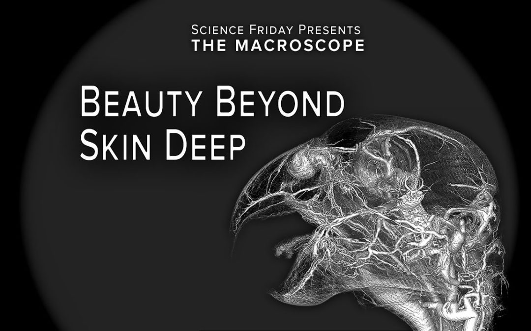Beauty Beyond Skin Deep