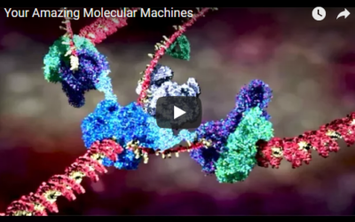 Your Amazing Molecular Machines – Veritasium