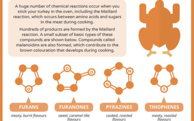 Christmas Turkey Chemistry