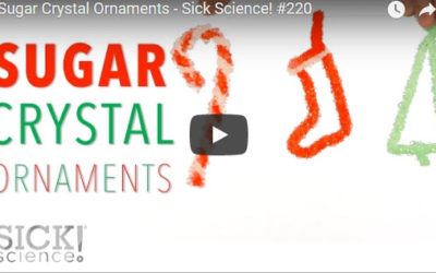 Sugar Crystal Ornaments – Sick Science! #220