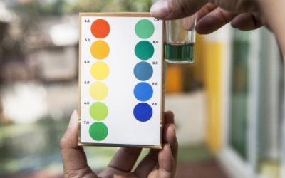 LeChâtelier’s Principle and the Solubility of Carbon Dioxide