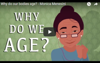 Why do our bodies age? – TED- Ed