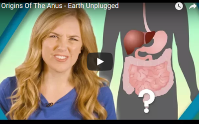 Origins Of The Anus – Earth Unplugged