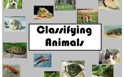 ANIMALS AND CRITICAL THINKING IN GRADE 2