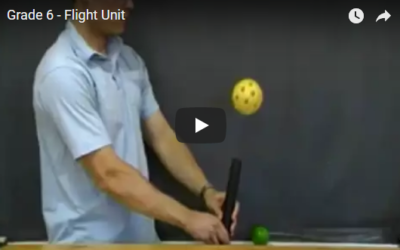 Grade 6 Flight Unit Activity Ideas