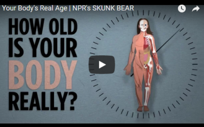 Your Body’s Real Age | NPR’s SKUNK BEAR