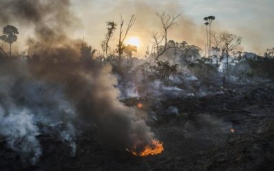 Highway of riches, road to ruin: Inside the Amazon’s deforestation crisis – Globe and Mail