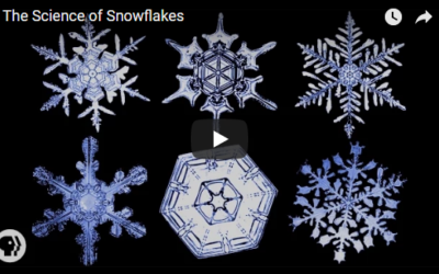 The Science of Snowflakes